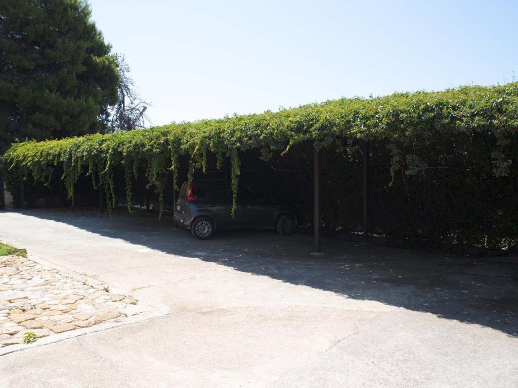 שאקה S.Giorgio Apartments מראה חיצוני תמונה